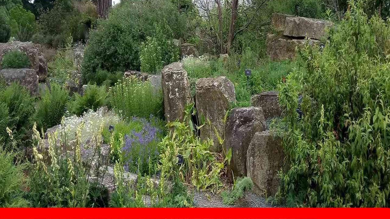 12 Xeriscape Gardening Ideas 🛋️