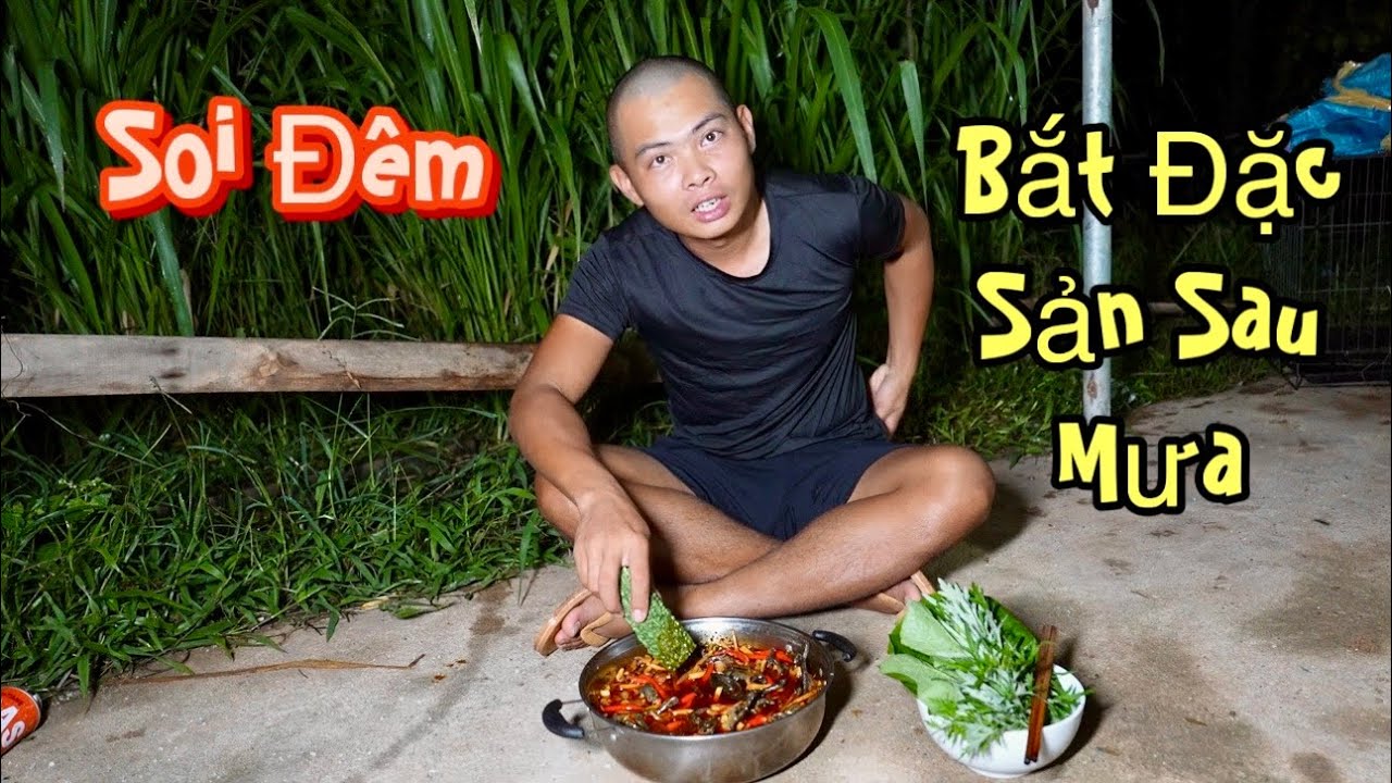 Soi Đêm Bội Thu Ểnh Ương, Ếch, Nhái Sau Cơn Mưa Bão Đầu Mùa