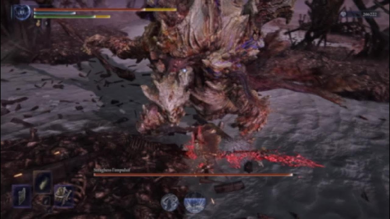 Elden Ring Nightreign, Dreglord Straghess DLC final boss with Gardian