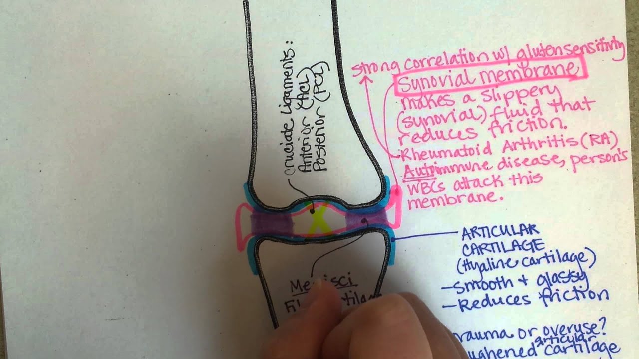 Typical Joint