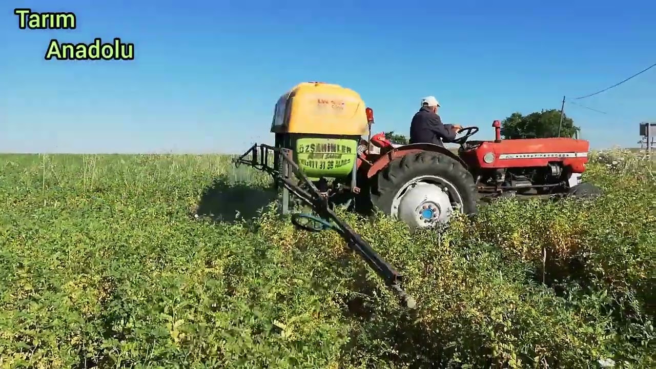 Nohutta Hastalık Mücadelesi ve Gübreleme