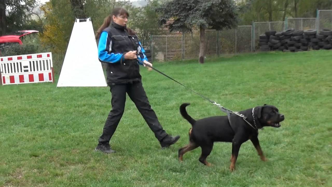Vězeňská služba Pankrác- RTW obrany