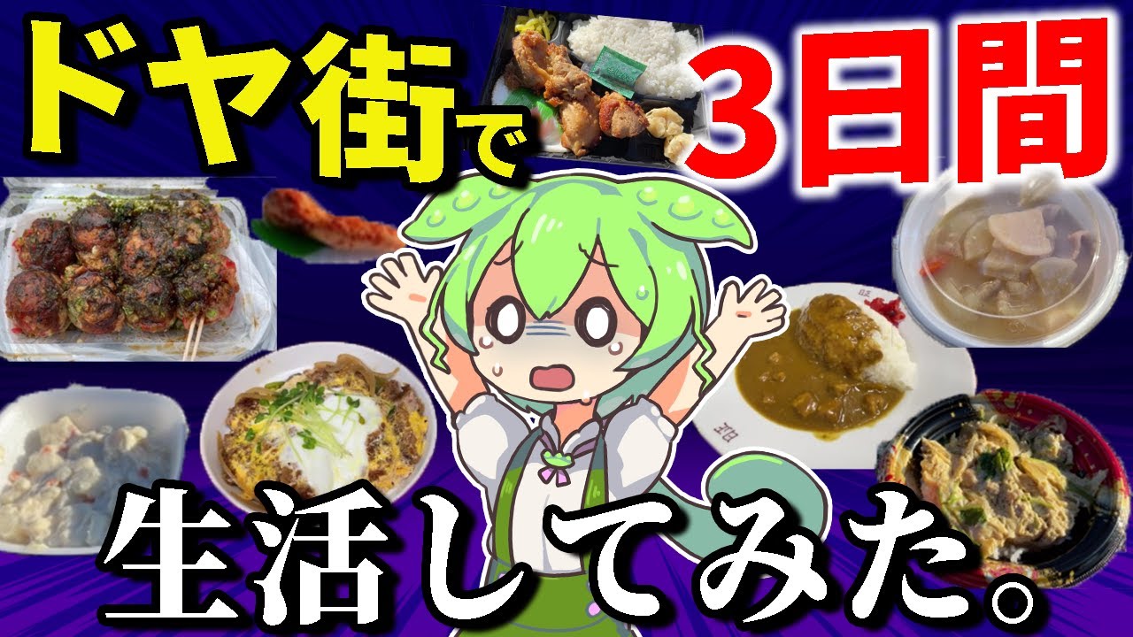 【東京山谷】ドヤ飯だけで3日間生活してみた。いくらで過ごせる？そして衝撃の結末・・・【ずんだもん＆ゆっくり解説】
