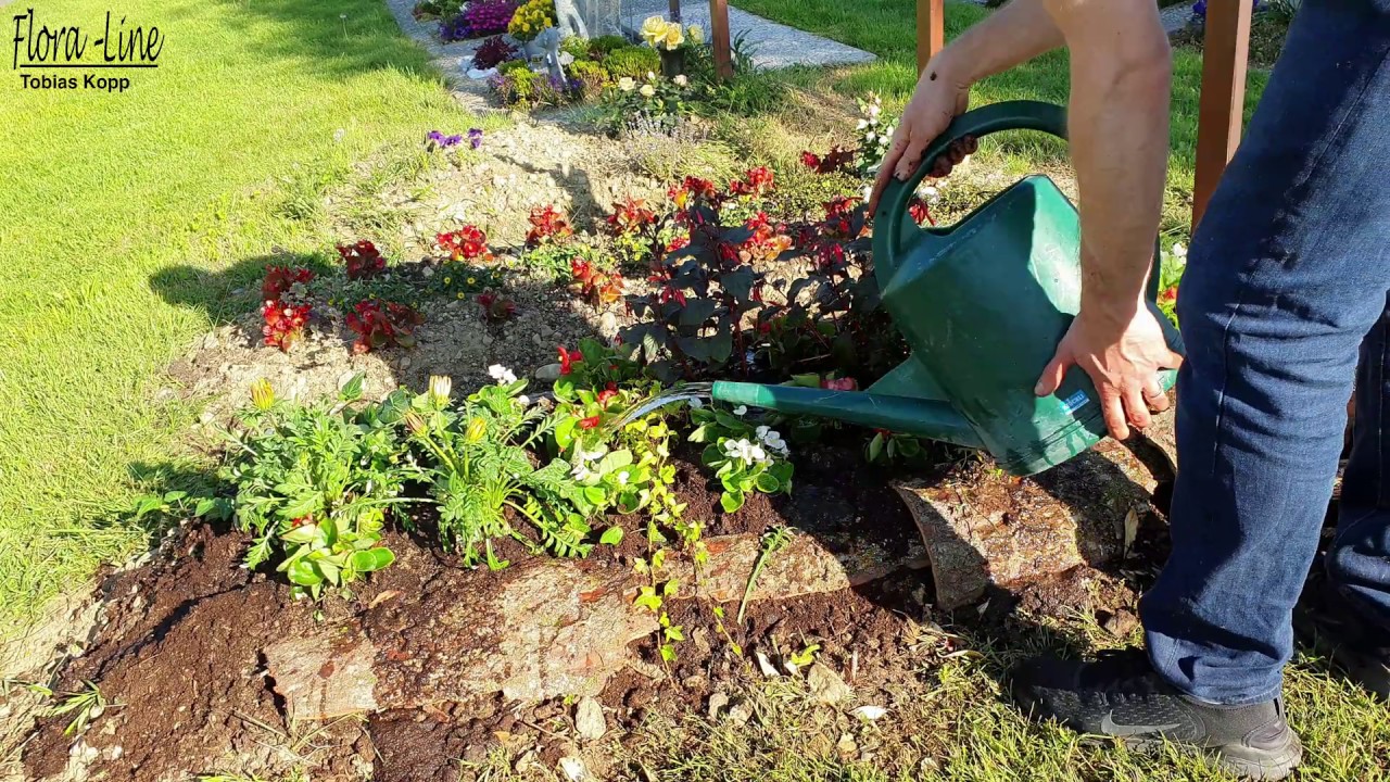 Grab bepflanzen Sommer -  Profi Anleitung - Sommer Friedhof Gestaltung mit Pflanzen -Grabbepflanzung