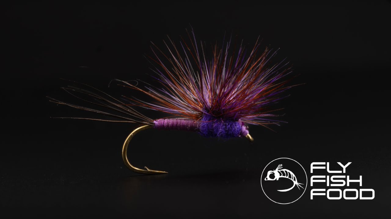 Is This Fly Really Even a PURPLE HAZE? | Purple Haze Hackle Stacker | Fly Tying Tutorial
