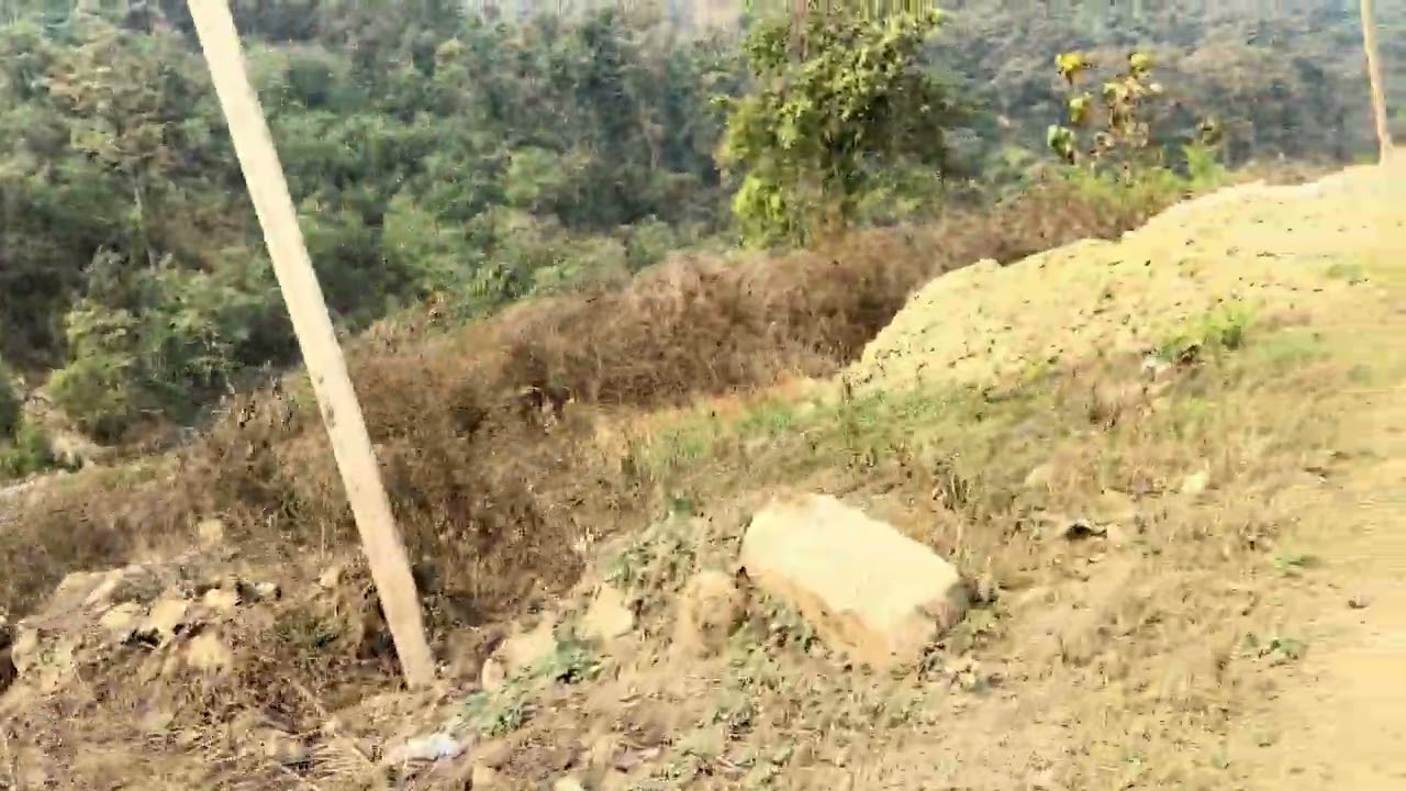 Going to park in bara Nepal 