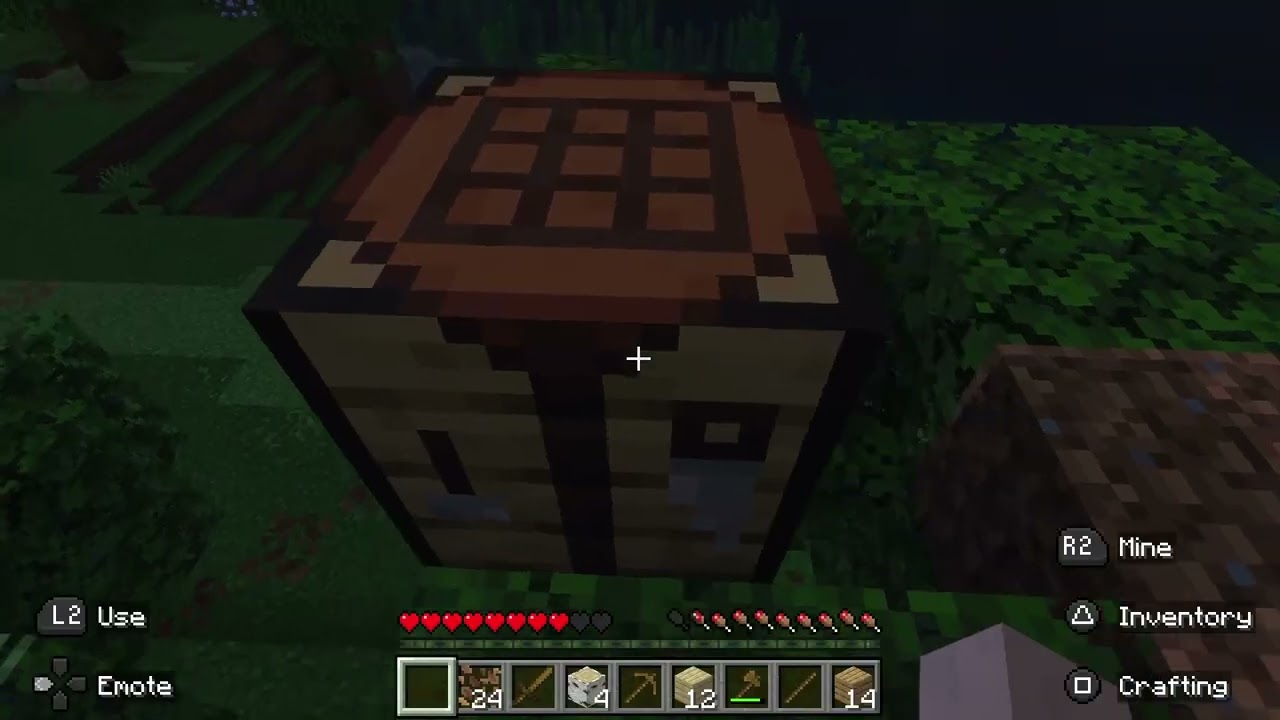 MINECRAFT 1/365 DAYS