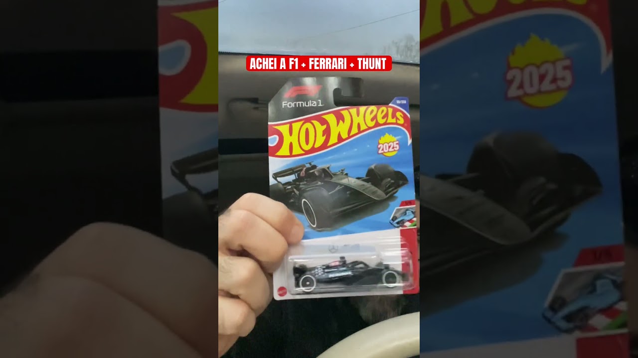 A sorte estava do meu lado. Achei a F1, a Ferrari e um Thunt. 