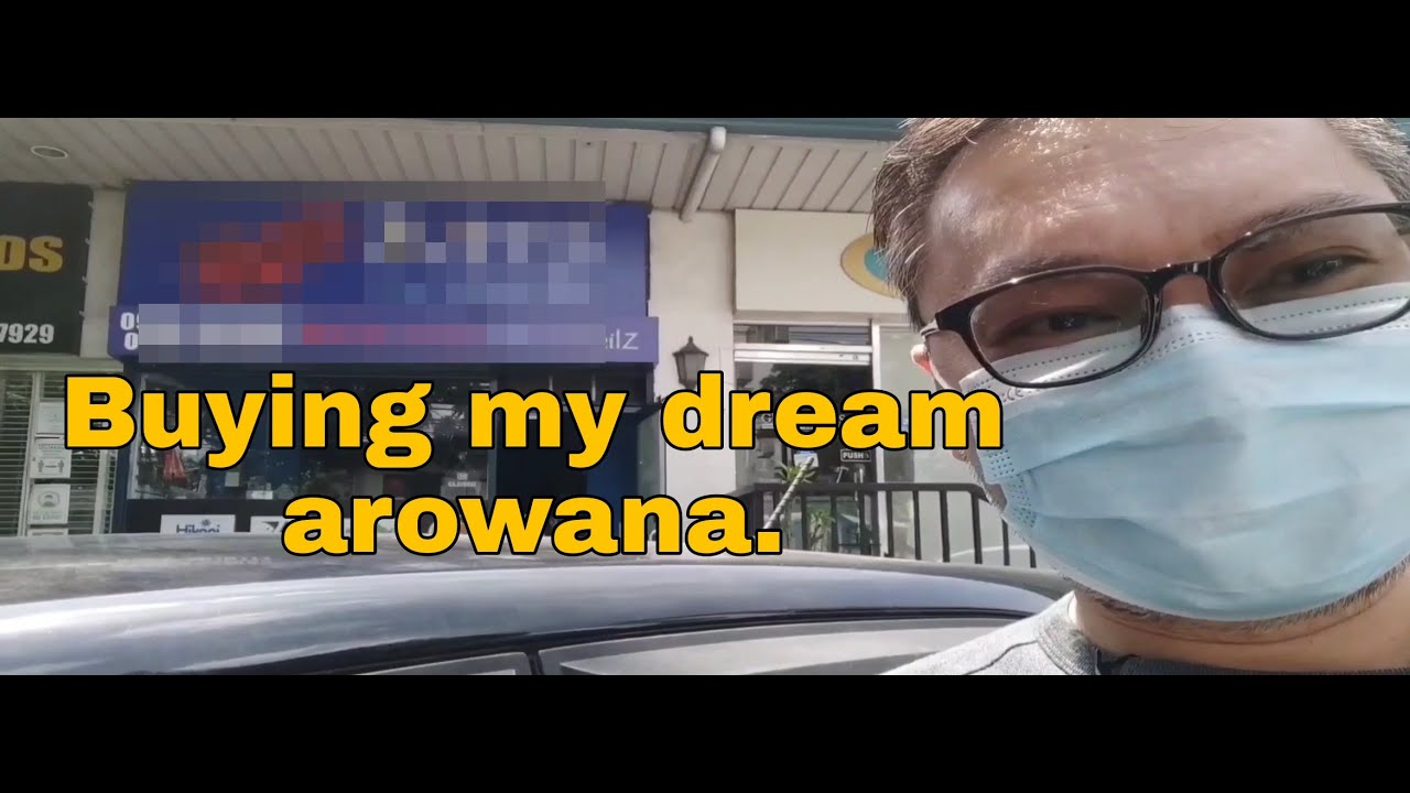 Levi...short for...my dream arowana(english sub)