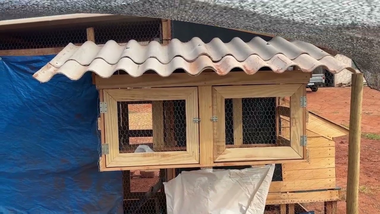 Dia a dia na roça | Novo viveiro para os pintinhos!!! Como eles estão?