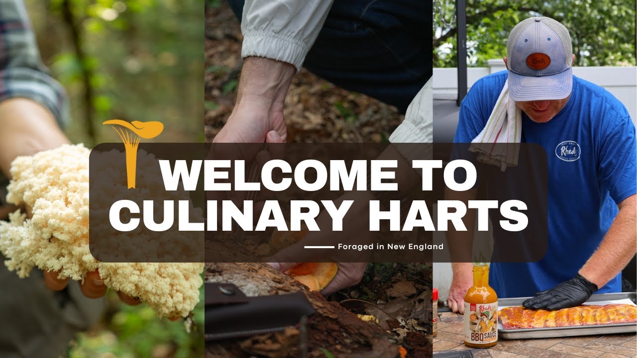 Welcome to Culinary Harts – Adventure Cooking & Foraging in New England