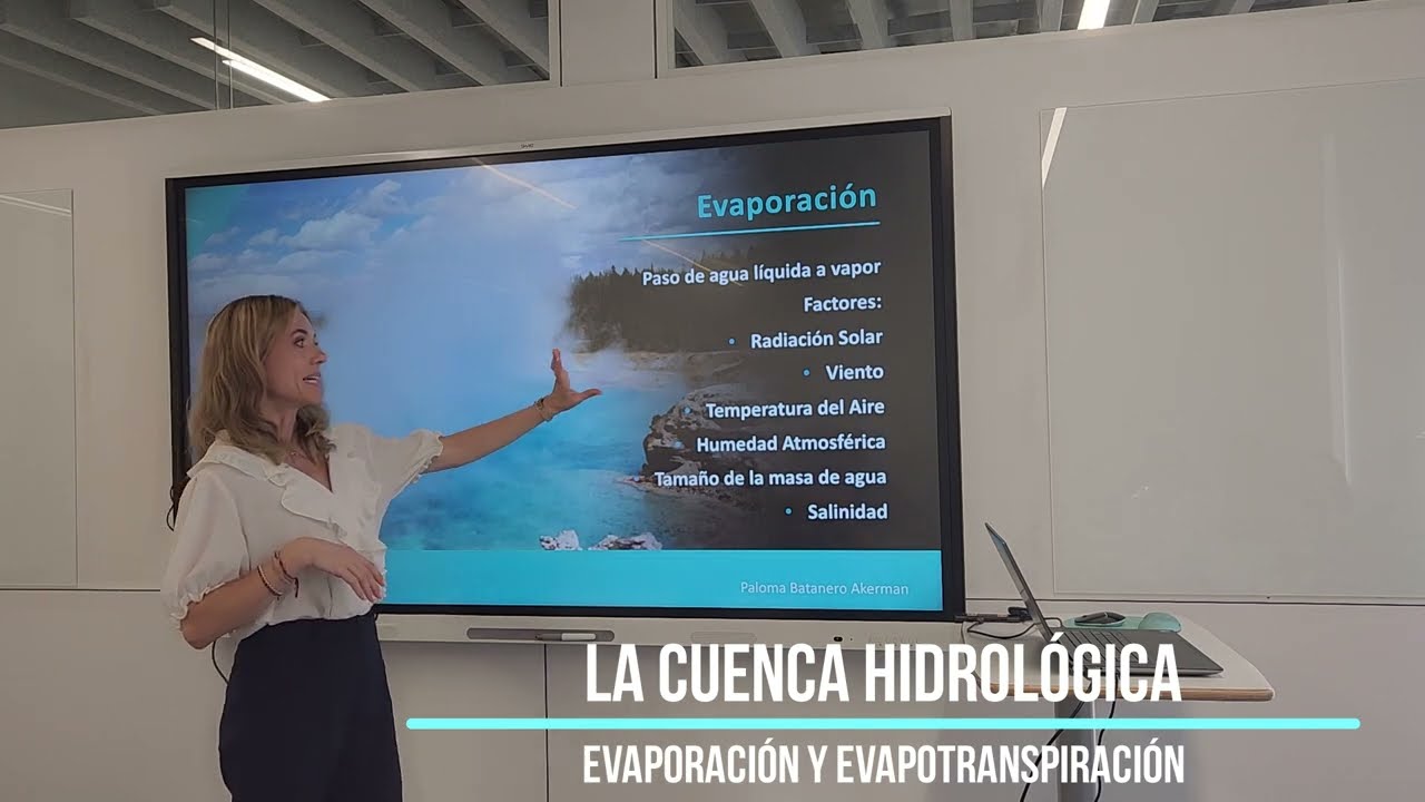 Evaporación y Evapotranspiración, Infiltración y Retención por el Terreno, La Cuenca Hidrológica