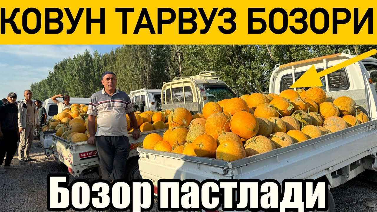 Наманган мингбулок ковун тарвуз бозори 13 июля 2025 г.