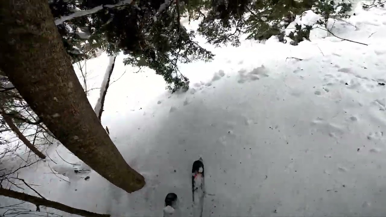Exploring exiting tree skiing runs at Killington Resort