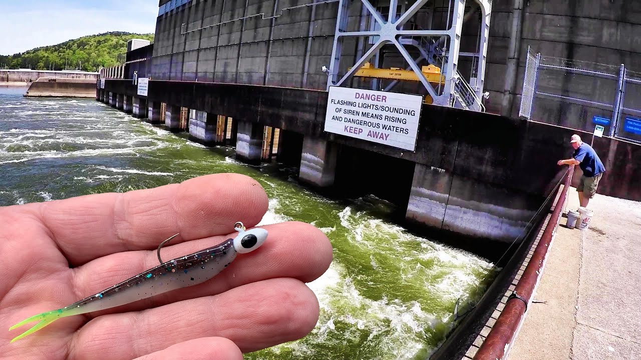 If You Like To Catch & Eat Walleye & Sauger Try This Amazing Setup! (Dam Fishing)
