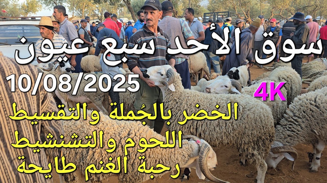 أثمنة الغنم واللحوم والدجاج والسمك سوق الأحد سبع عيون اليوم 10/08/2025