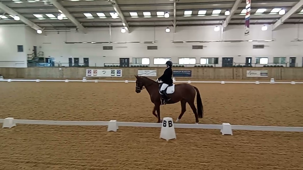 Elementary 6 Bishop Burton 30.11.24