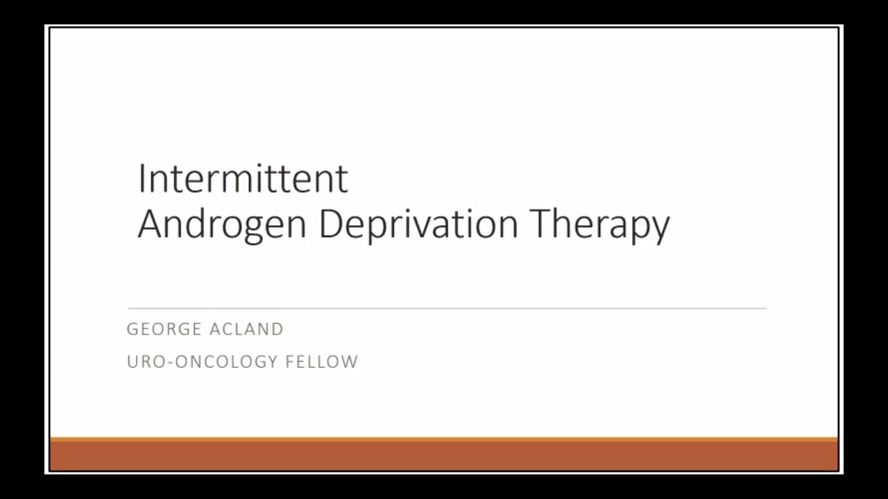 Intermittent Androgen Deprivation Therapy in Prostate Cancer?