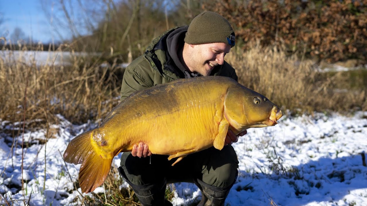 KARPERVISSEN in de WINTER met SNEEUW, IJS & REGEN! FT TwincarpNL