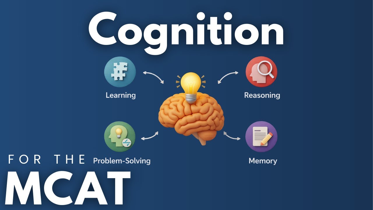 Когнитивные аспекты MCAT объяснены за 6 минут