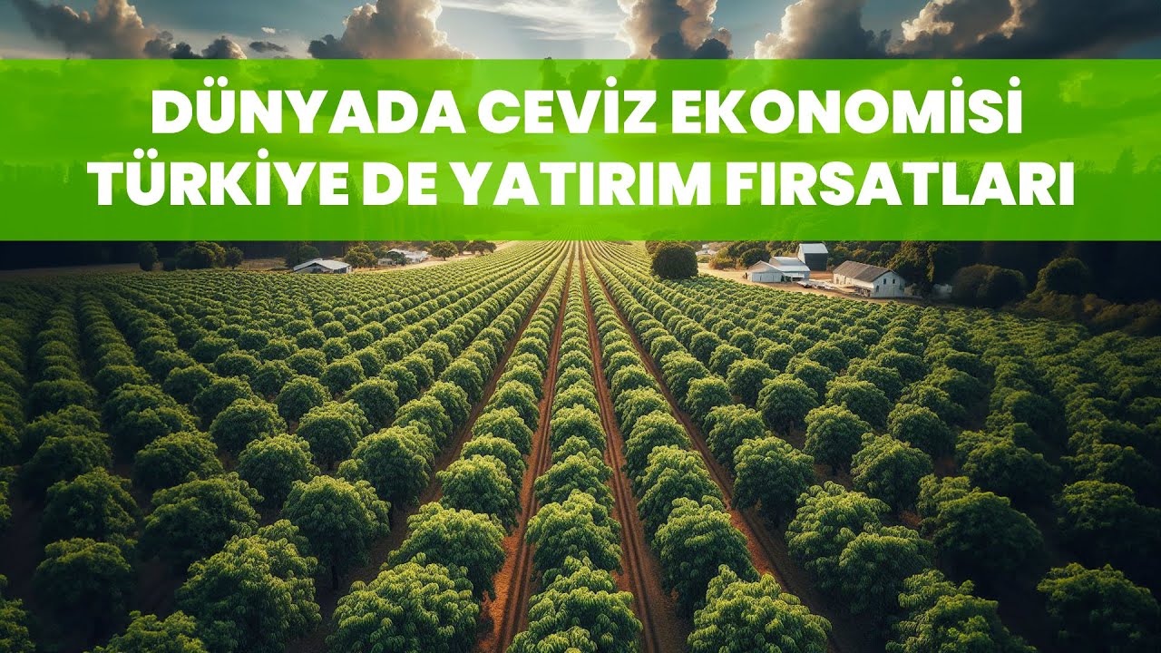 Dünyayı Kasıp Kavuran Ceviz Ekonomisi ve Türkiye'de Fırsatlar