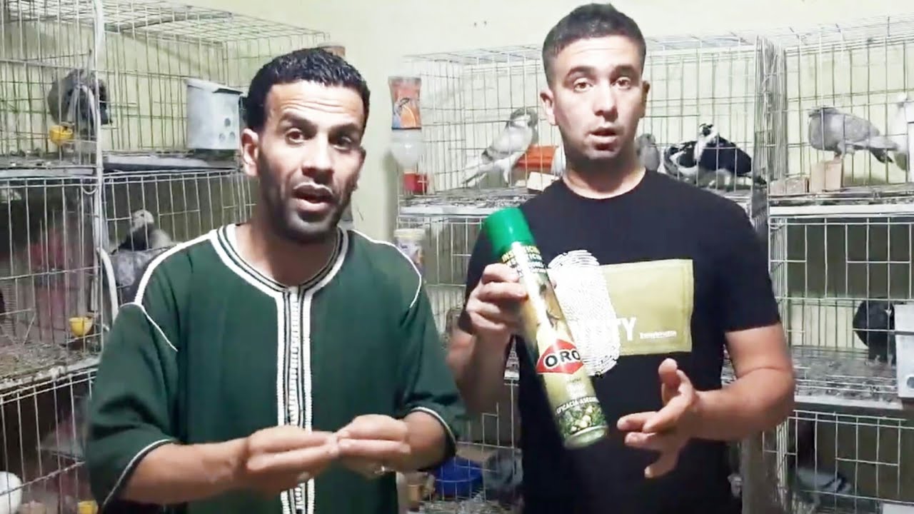 كل أنواع الأدوية لتخلص من جميع أمراض الحمام