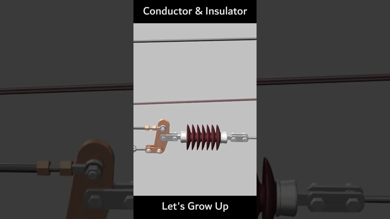 raily insulator #shortinsulator