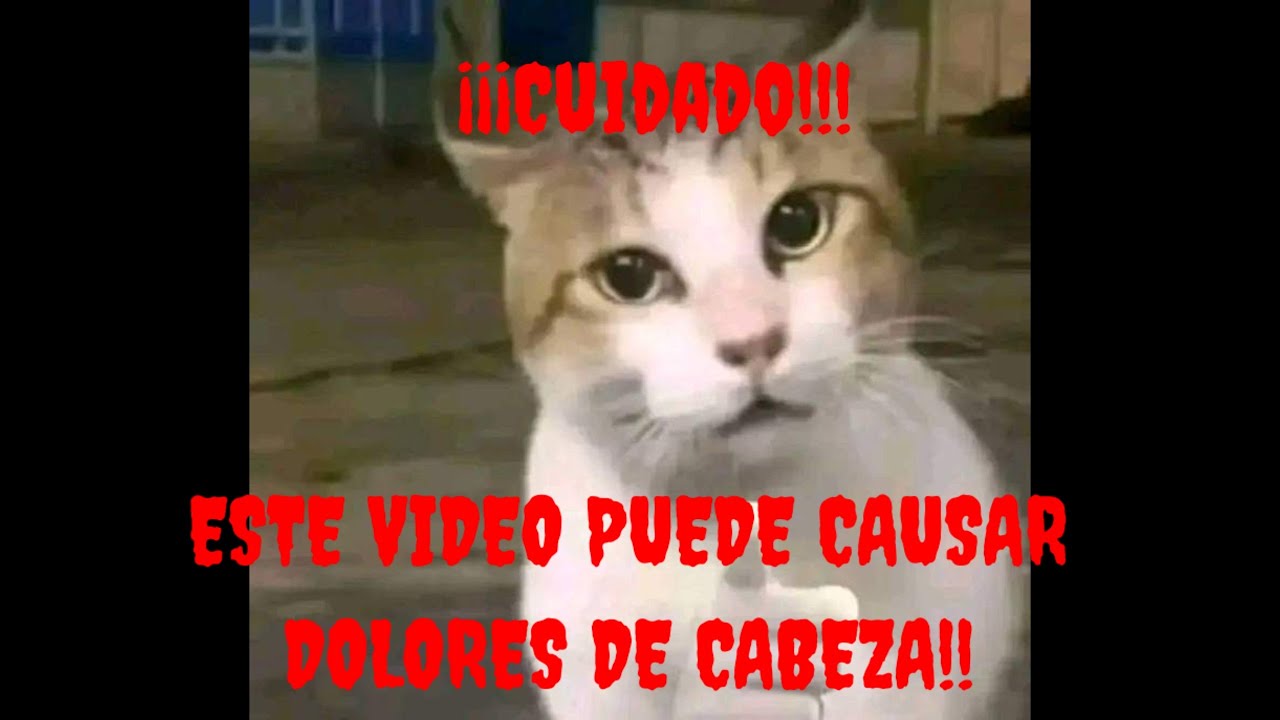 No veas este video de Phobies con memes | Phobies (colab con @Teddyxdxdxd)