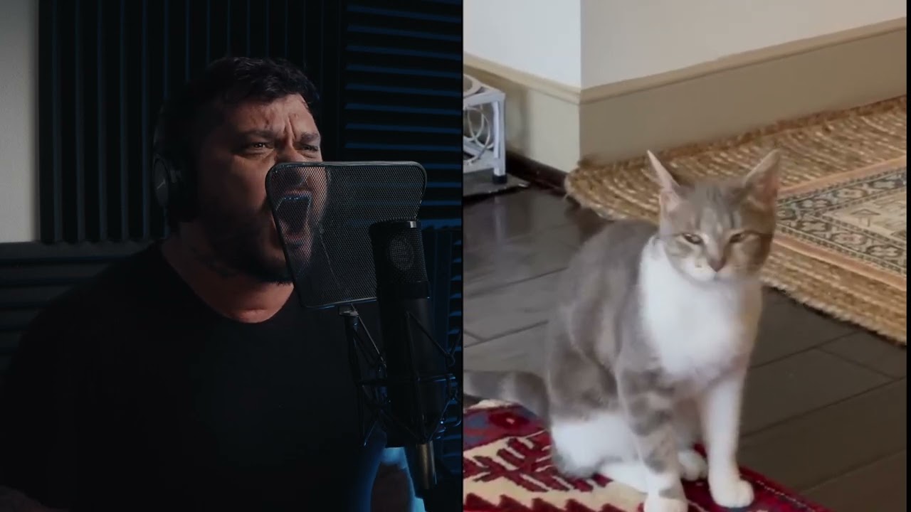 Liam Espinosa - Lonely Cat (The Kiffness Metal Cover)