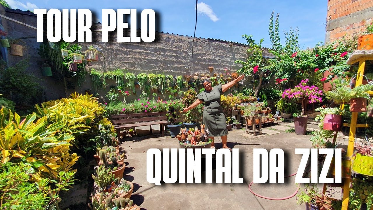 TOUR PELO QUINTAL DA ZIZI: UM QUINTAL COM VÁRIAS ESPÉCIES DE PLANTAS | PLANTAS DE SOL E DE SOMBRA