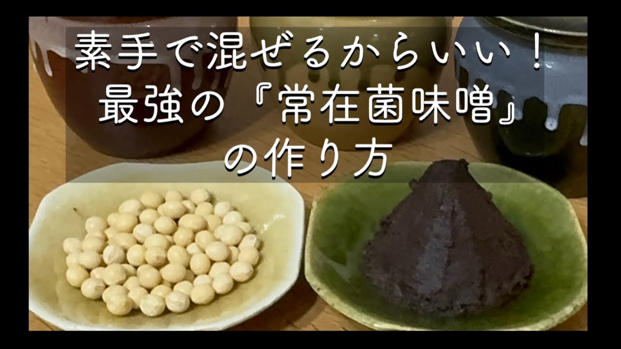 手作り味噌の完全レシピ！初めての味噌作り！豆味噌の作り方｜赤味噌の作り方｜Japan’s superfood! Anyone can make miso with this video!