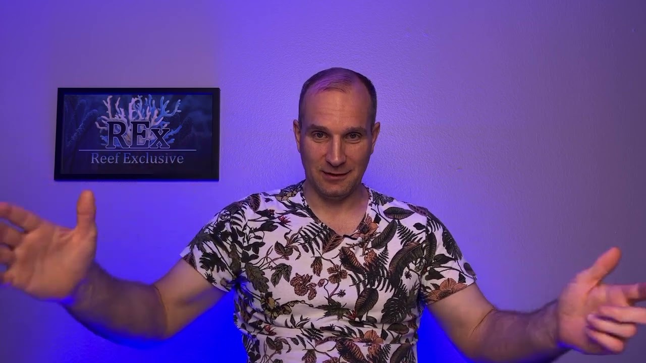 Морская система Эконом вариант.  REEF EXCLUSIVE