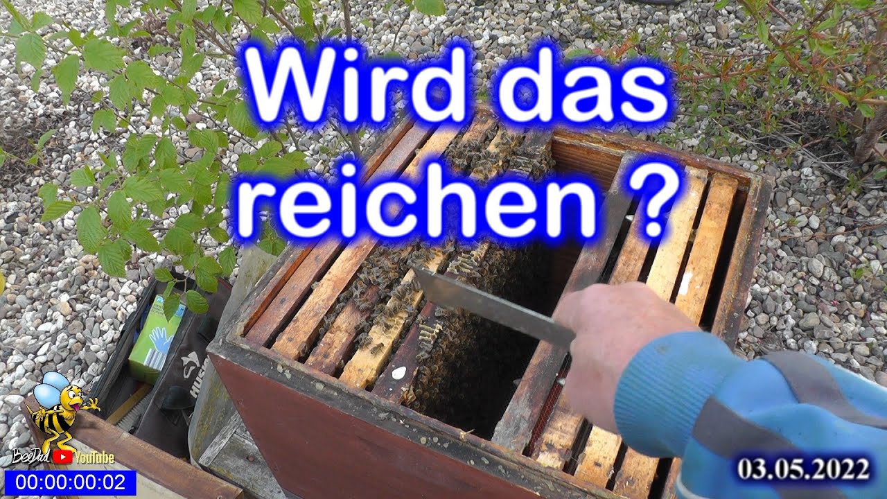 Nun geht es erstmal los #Bienen schröpfen.