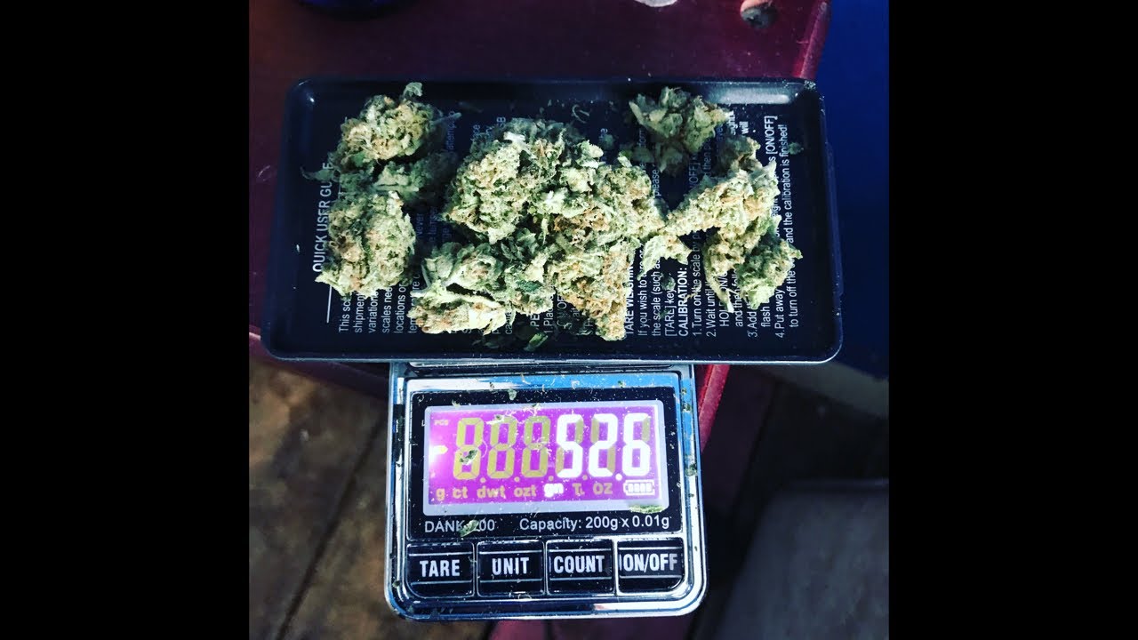 Dank of England
