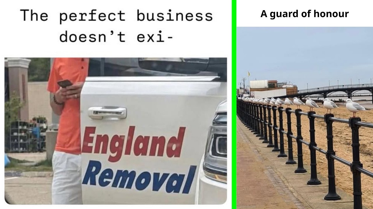 British Memes 12 🇬🇧 The perfect business doesn't exi-