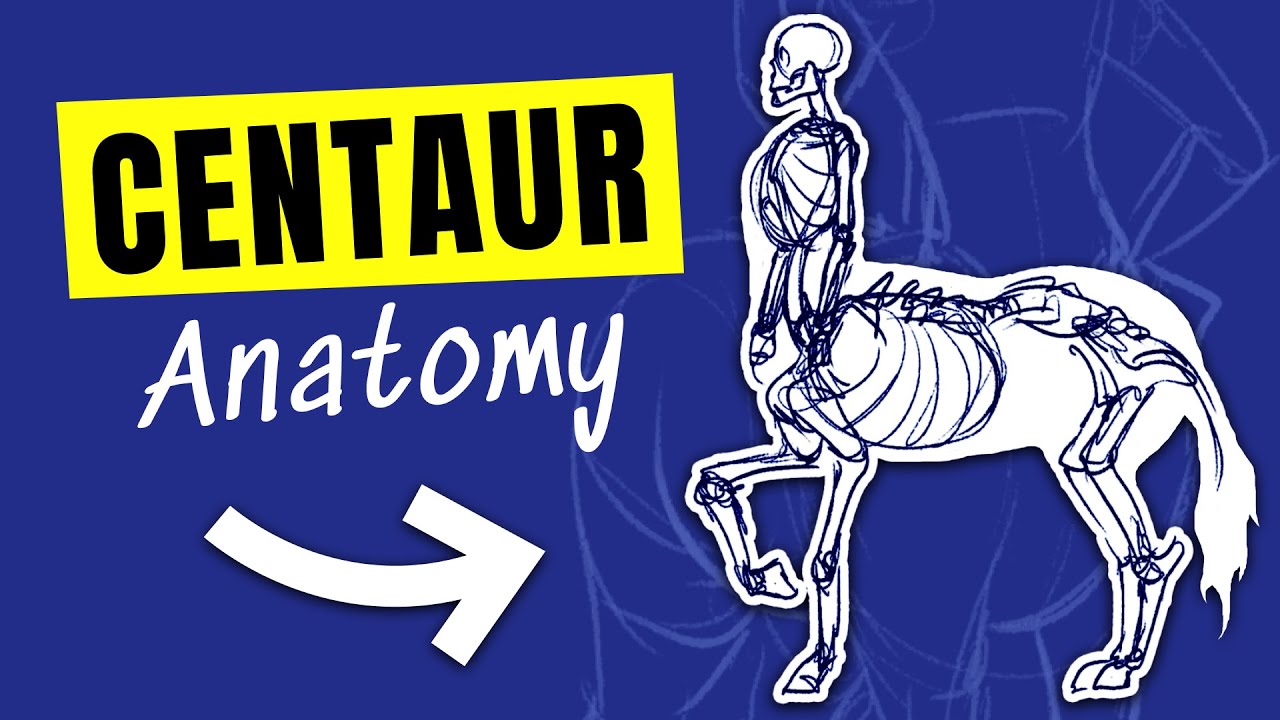 Horse Meets Human: Drawing Fantasy CENTAUR Anatomy!