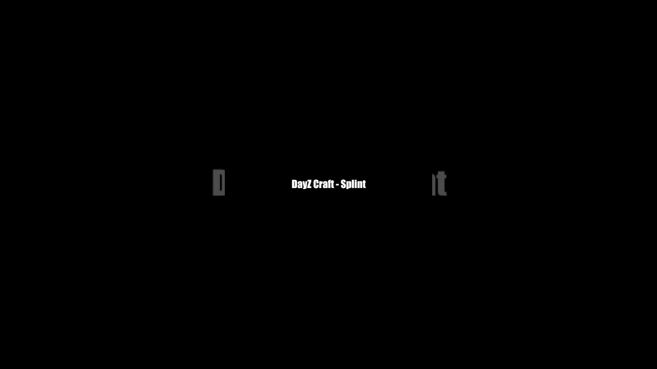 DayZ Craft   Splint