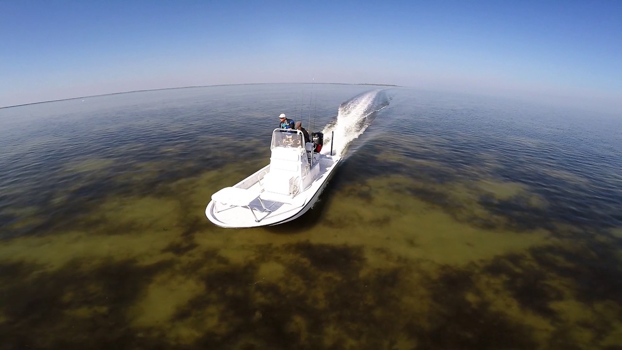 Saltwater Fly Fishing - 