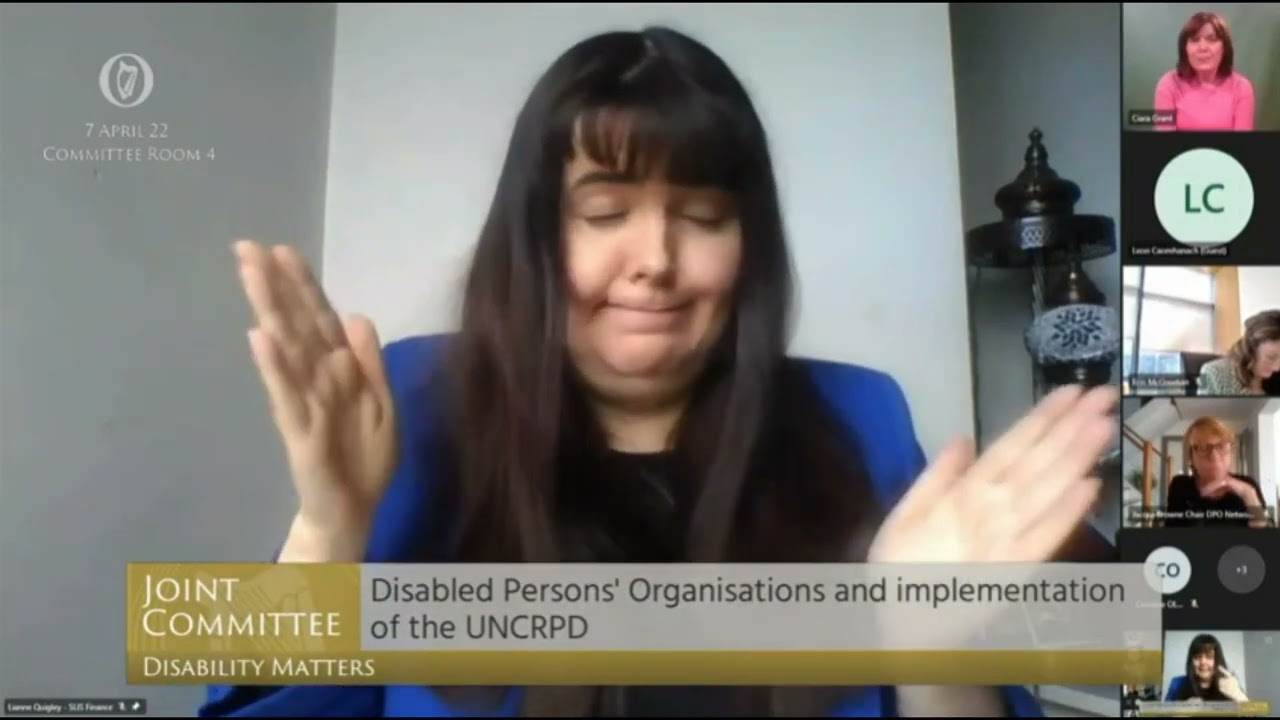 Disabled Persons Organisations and implementation of the UNCRPD
