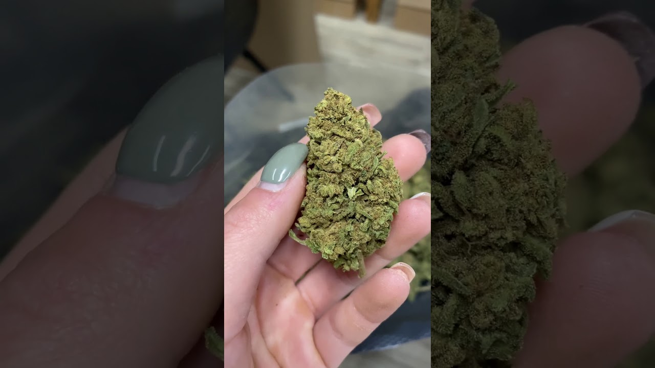 Fleur BZ1 CBD 7% - Outdoor