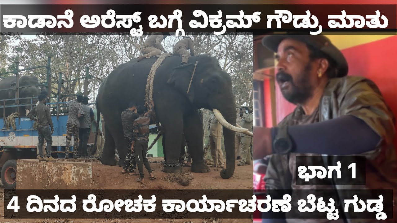 ಕಾಡಾನೆ ಅರೆಸ್ಟ್ ಬಗ್ಗೆ ವಿಕ್ರಮ್ ಗೌಡ್ರು ಮಾತು ! ರೋಚಕ ಕಾರ್ಯಚರಣೆ ಬೆಟ್ಟ ಗುಡ್ಡದಲ್ಲಿ | wild elephant vikram
