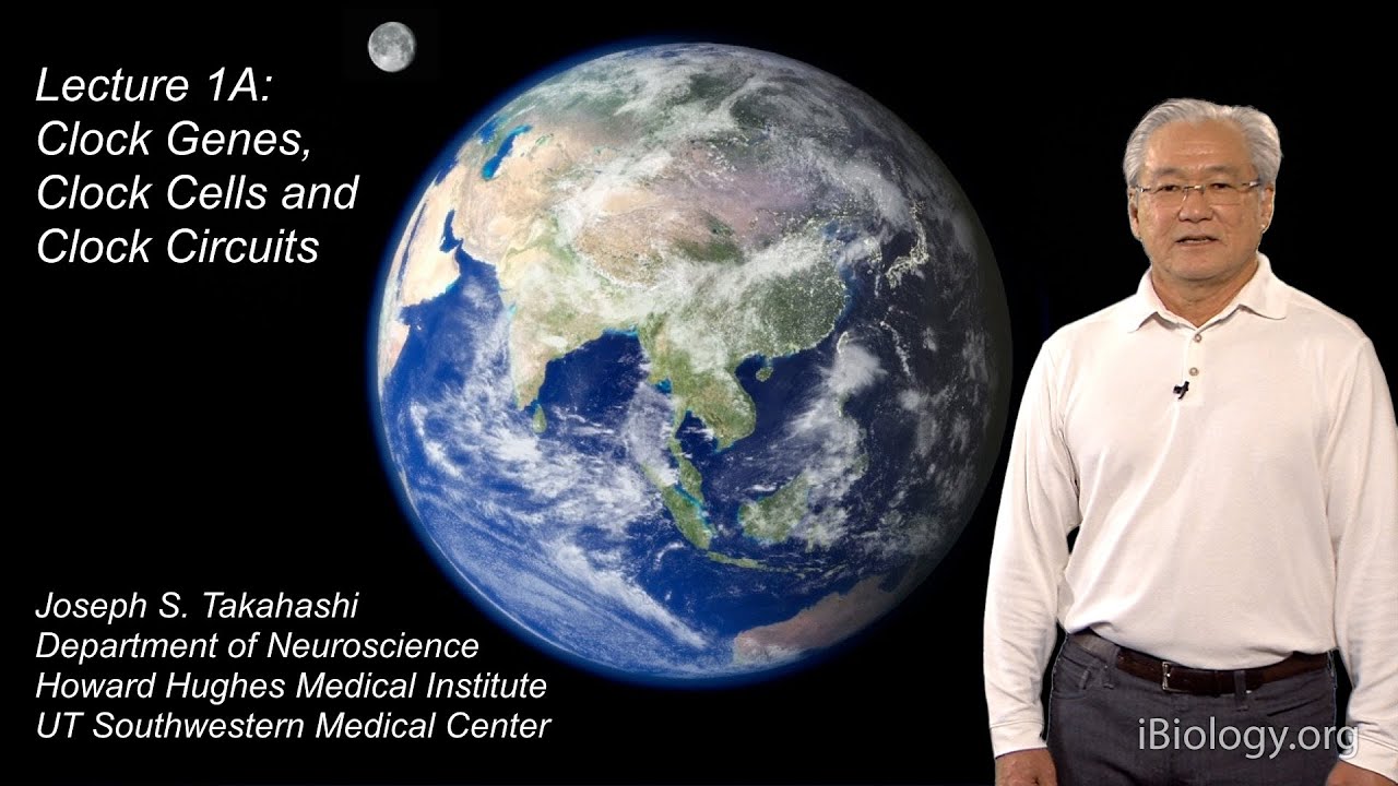 Joseph Takahashi (UT Southwestern/HHMI) Part 1A: Circadian Clocks: Clock Genes, Cells and Circuits