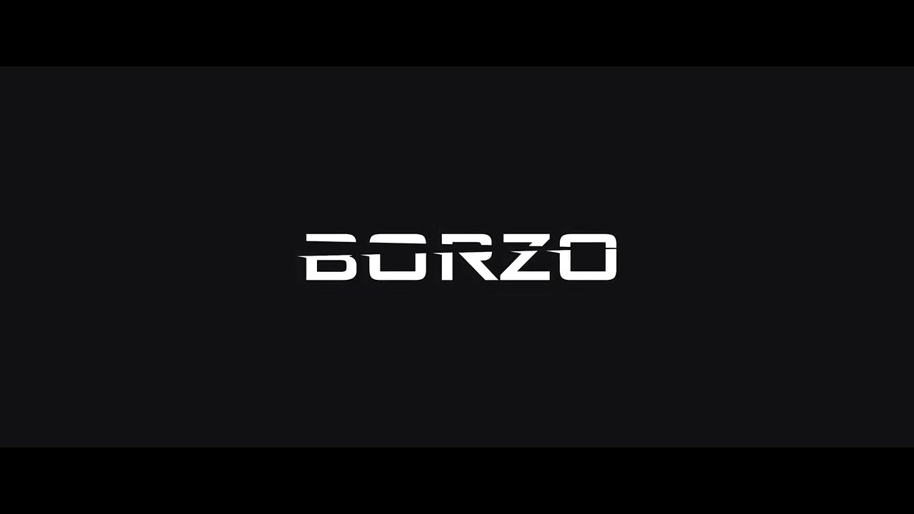 Pure and stylish typography animation. BORZO