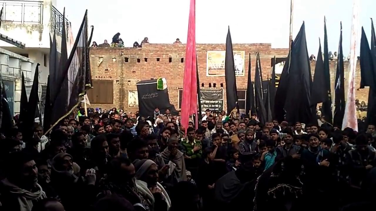 Live Julus e Ammari Ikrotia Sadat 2016