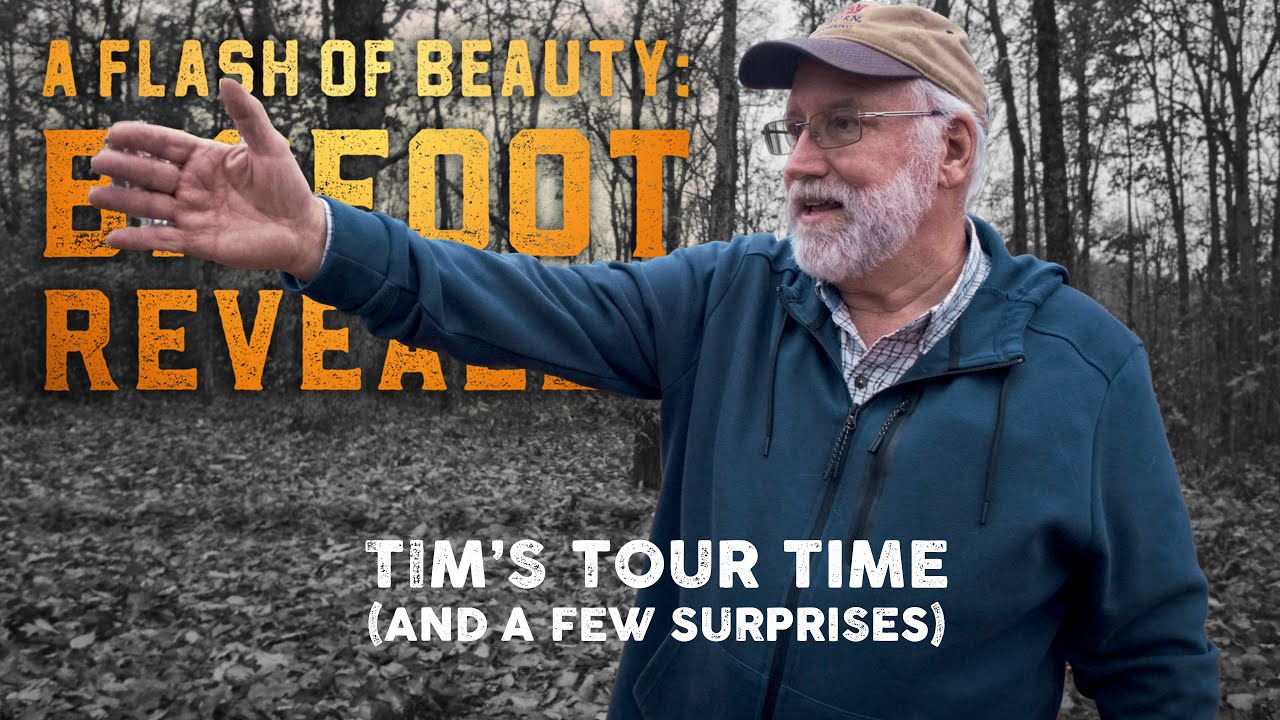 A Flash of Beauty: The Tim 