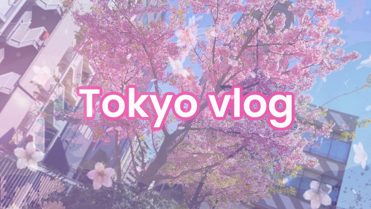 My time in Tokyo
