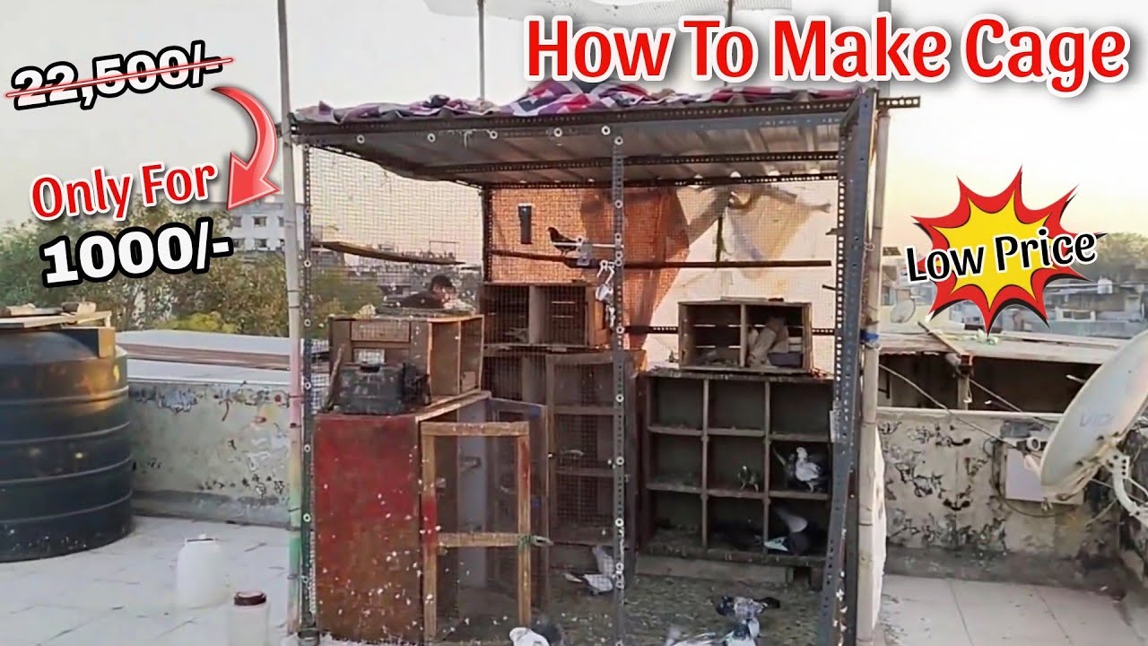 How To Make Cage In Low Price🤷🥰 || अपनी घर की छत पर CAGE कैसे बनाए😍 || #howto #cage #kabutar #birds