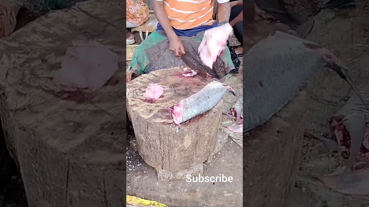 Trevelly and tunna Fish cutting #kasimedu #shortsfeed 