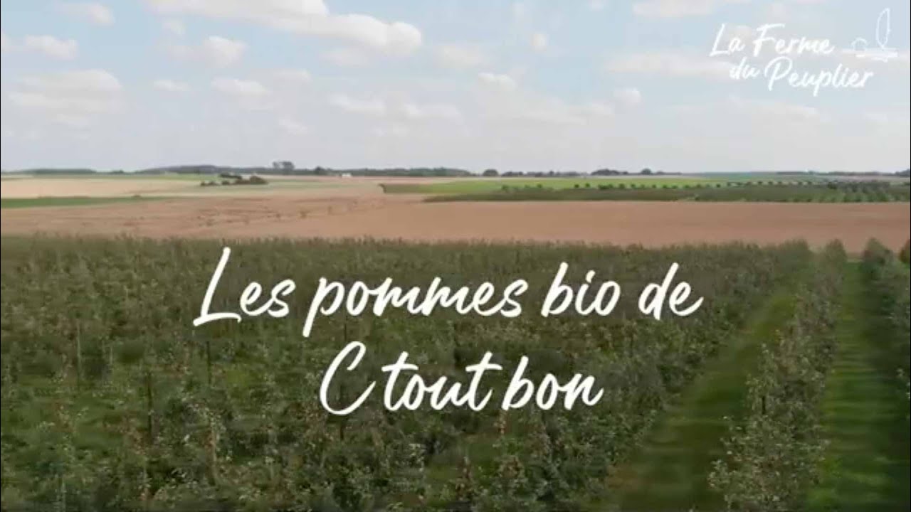 LES POMMES BIO DE 