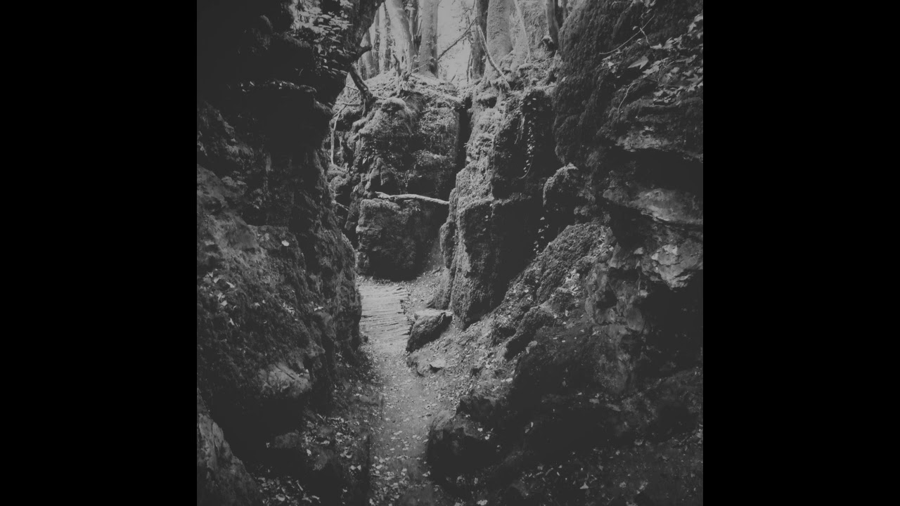 AudioCompress - Trails